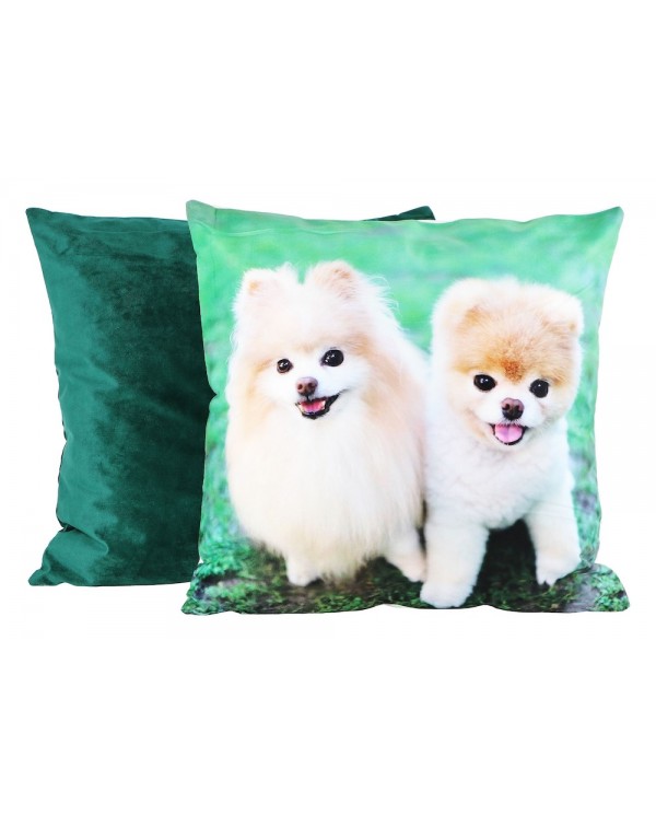 Povlak na polštář - Duo set pejsci