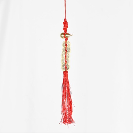 Ochranný čínský ověs – Plaketa 5 mincí s Tykví