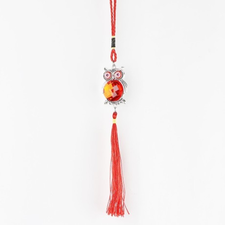 Ochranný čínský ověs – Sova