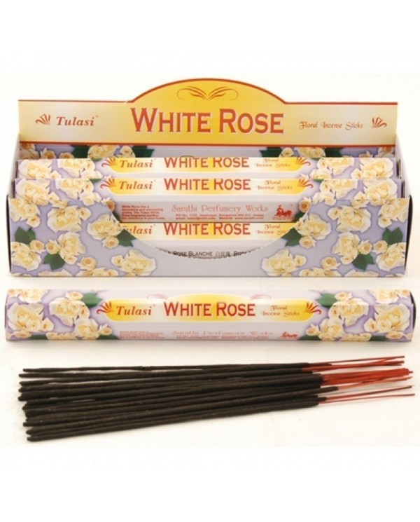 Classics - WHITE ROSE