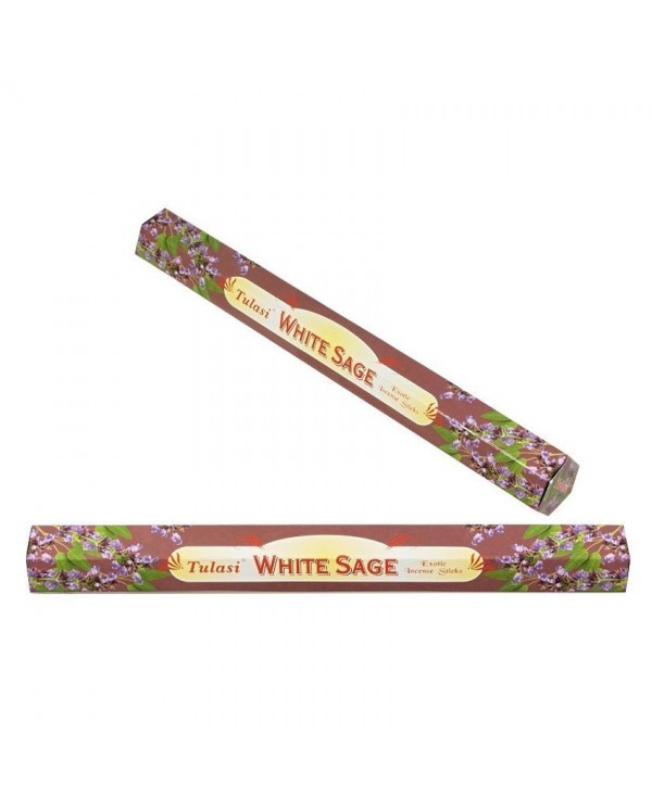 Classics - WHITE SAGE
